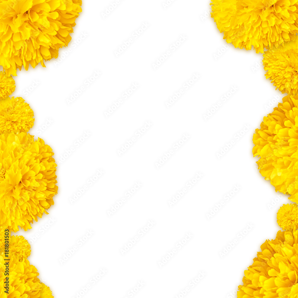 Marigold flowers frame background Marigold flowers frame background