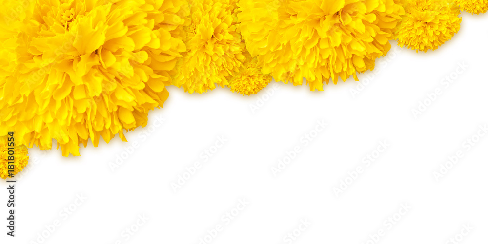 Marigold flowers frame on top background Stock Photo | Adobe Stock