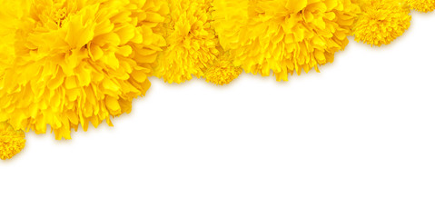 Marigold flowers frame on top background
