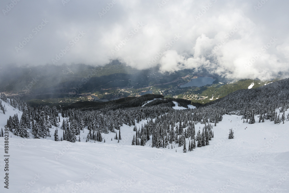 Snow covered evergreen trees on mountain with village in the background, Whistler, British Columbia, Canada