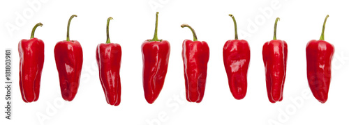 Rote Peperoni