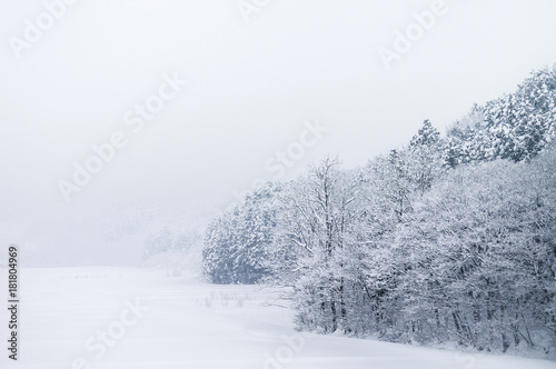 Snow covered landscape of Aomori in winter, Tohoku, Japan © PixHound