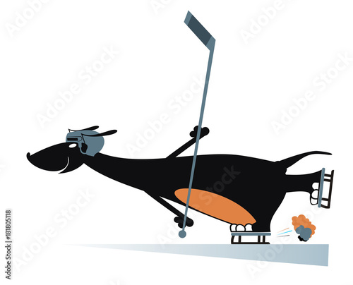Dog an ice hockey player isolated. Cartoon dachshund in helmet plays ice hockey
