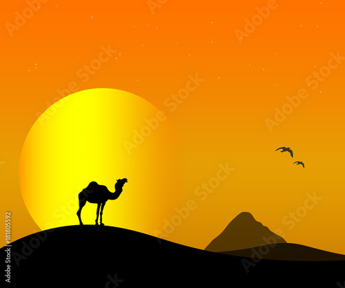 camel in the desert outline