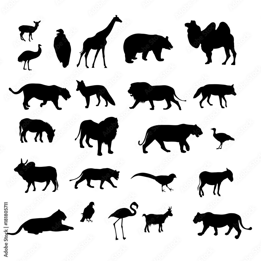Set of black silhouettes of different animals and birds of vector illustration