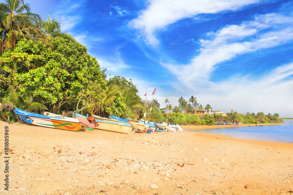 Bright boats on the tropical beach of Bentota, Sri Lanka on a sunny day