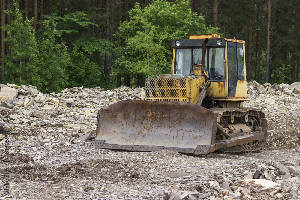 Bulldozer standing in forest for deforestation. Career development. Heavy machinery