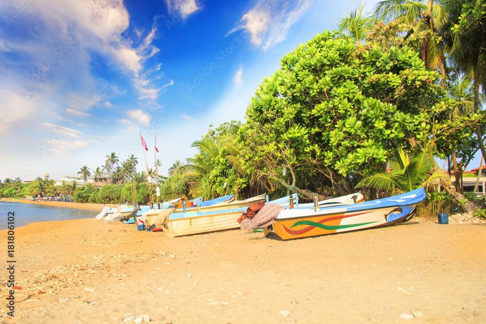 Fototapeta premium Bright boats on the tropical beach of Bentota, Sri Lanka on a sunny day