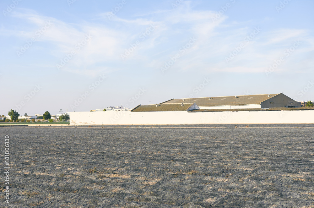 Fototapeta premium Fields of garden vegetable in Valencia, Huerta de Valencia. Field of tiger nut after was burned. Tiger nut milk is a drink typical of Valencia