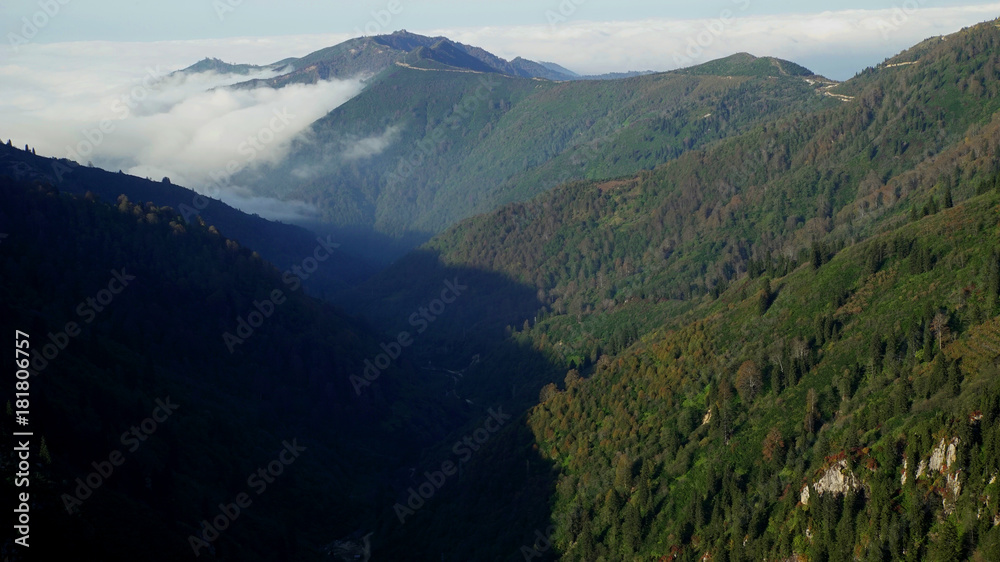 Fototapeta premium Foggy Mountain in Sunny Day