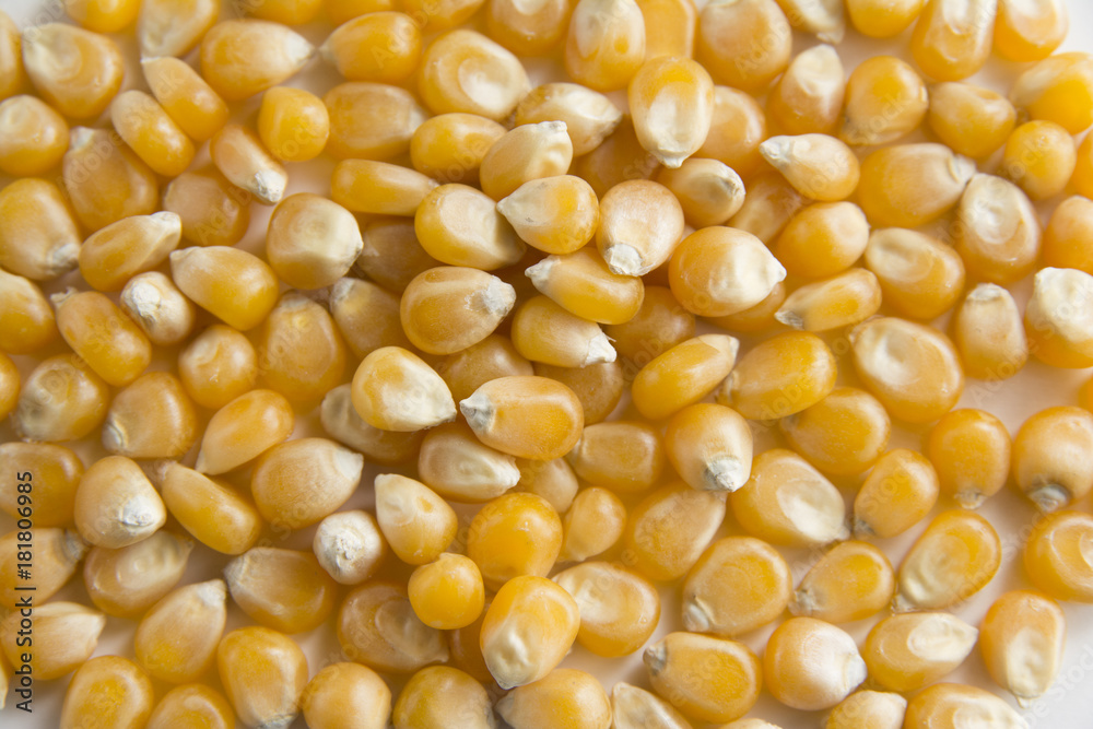 Organic and healthy yellow sweet corn scattered on white background. Close up of lots of american sweetcorn seeds. Organic and healthy yellow sweet corn scattered on white background. Close up of lots of american sweetcorn seeds.