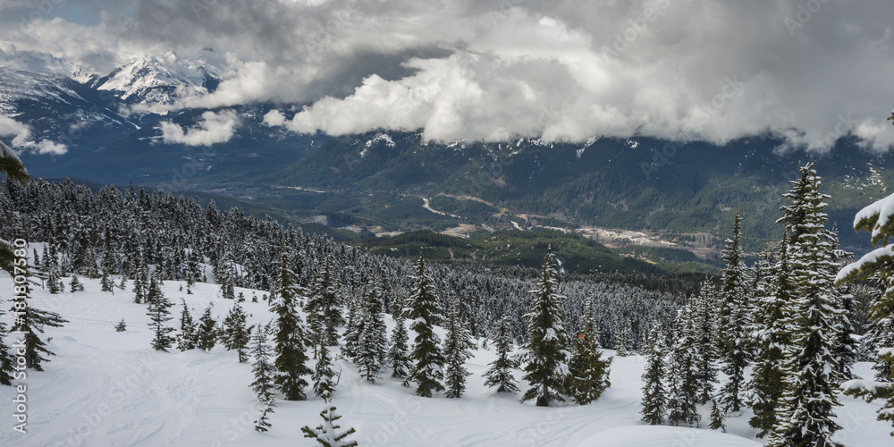 Snow covered trees with mountain range in the background, Whistler, British Columbia, Canada