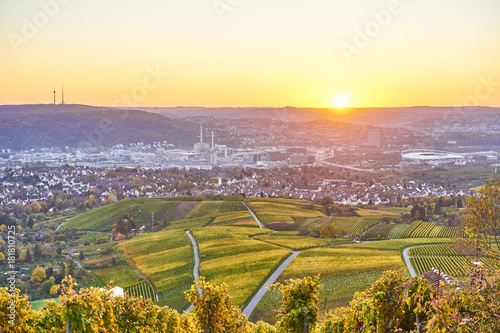 фотография Vineyards in Stuttgart / colorful wine growing region in the south of Germany wi