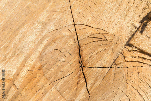 Risse und Struktur im Holz