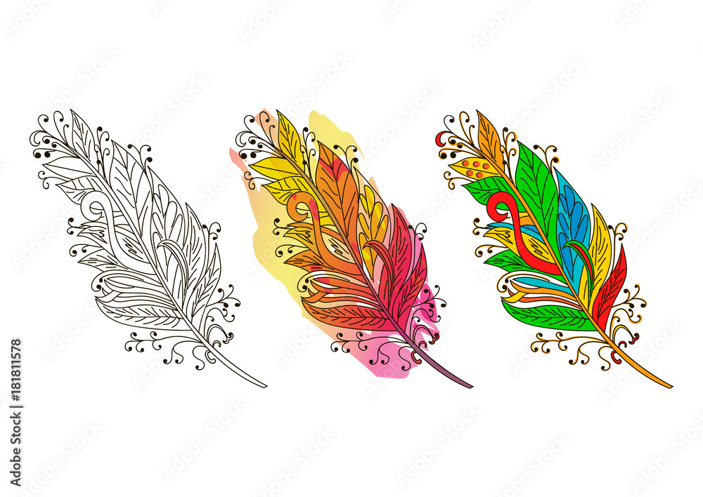 Fotografie Feather sketch. Colorful Feather. Vector illustration.