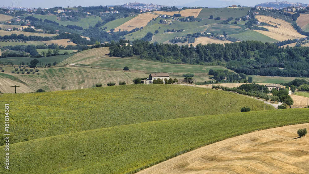 Summer landscape near Monterubbiano (Fermo, Marches)