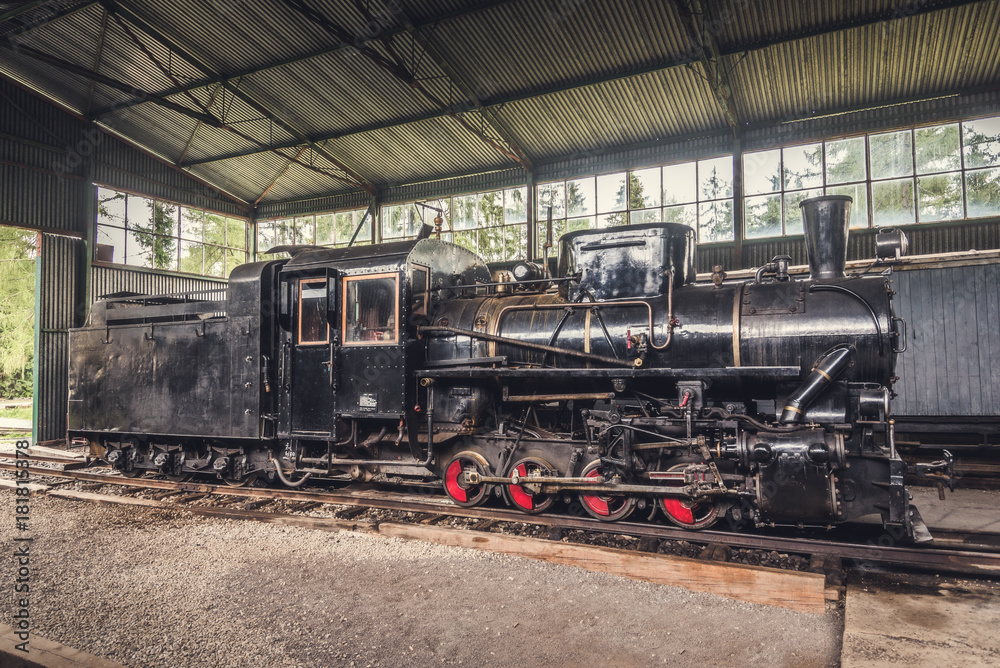 Beautiful Old Steam Locomotive Standing in the Depo Beautiful Old Steam Locomotive Standing in the Depo