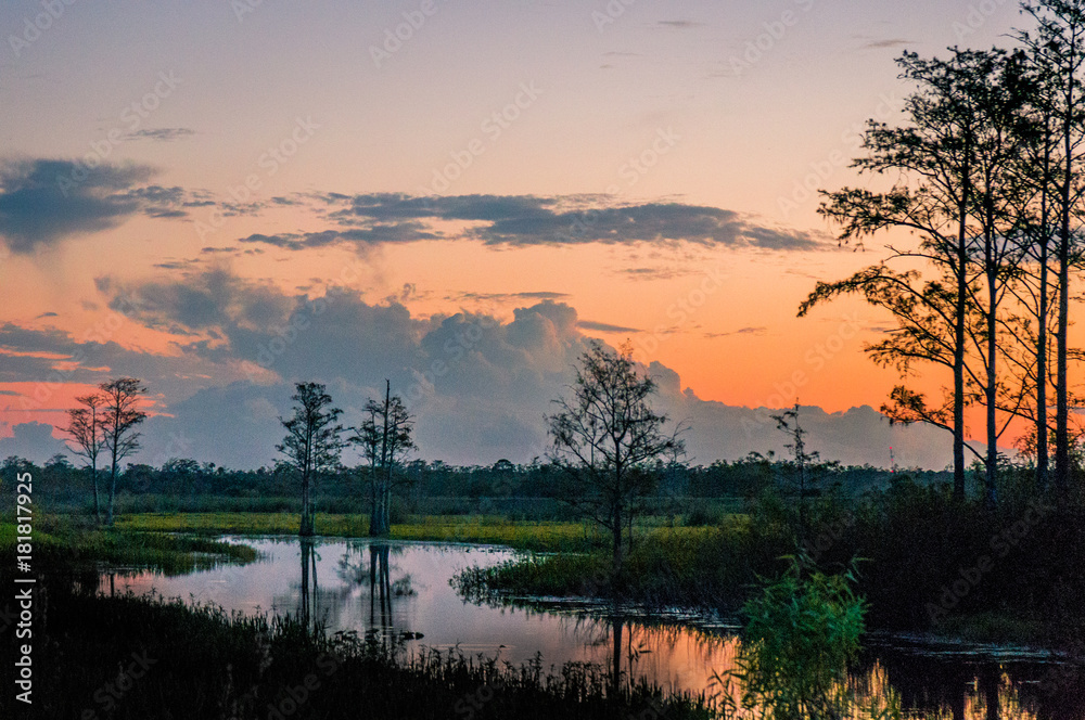 Εκτύπωση καμβά winding river in the swamp with orange and purple sunset and cypress tree silhou