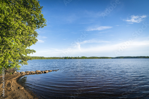 Beach by a large forest lake in the summer