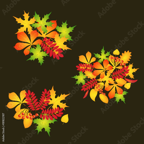 set of compositions from autumn leaves 