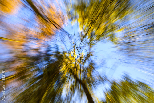 Zoom blur technique of tree canopies from a low angle 
