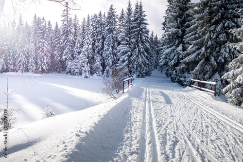 Winter mountain landscape with cross country skiing trails, Jeseniky mountains, Czech Republic © Martin