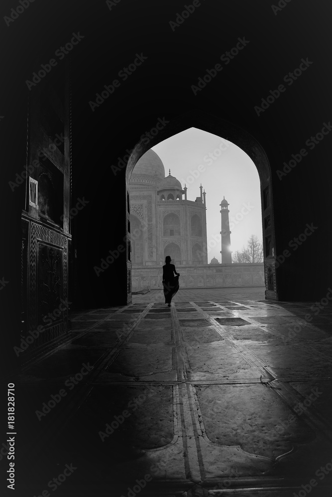 Taj Mahal the ivory-white marble mausoleum of Agra India