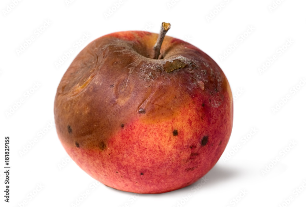 Old rotten apple on white isolated background