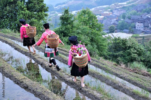 Beautiful view of the rice terraces of Guillin district in China, While the sun is rising and reflecting on the water and local women dressed with traditional costumes walk along the terrace photo