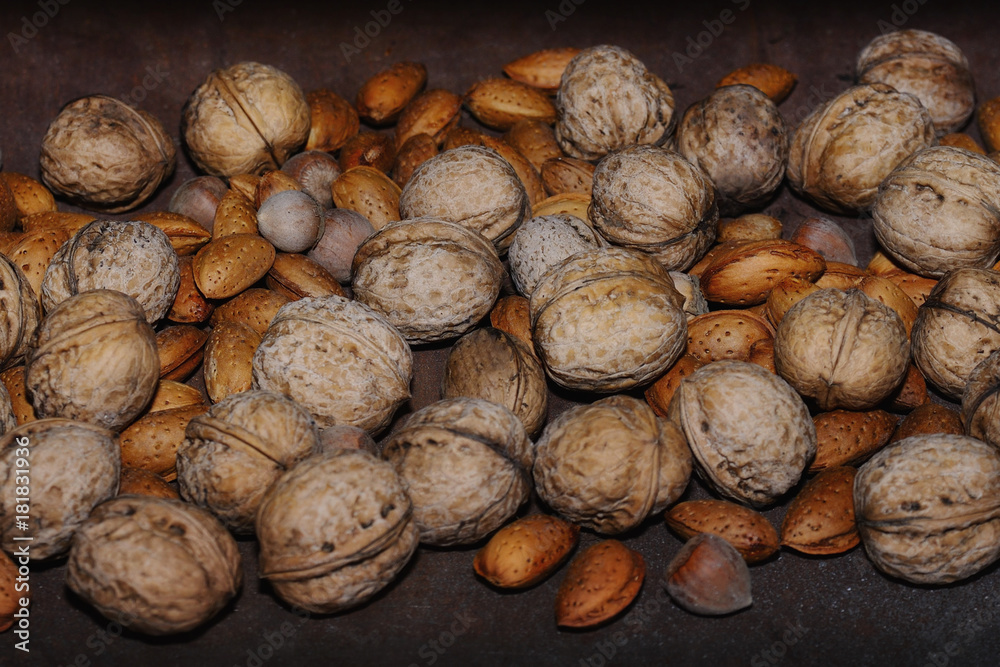 Walnuts, almonds and hazelnuts in shell