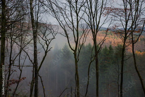 Fog November Landscape Siegerland