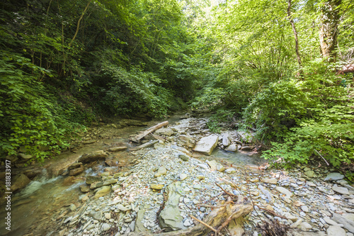 Mountain river Pshada photo