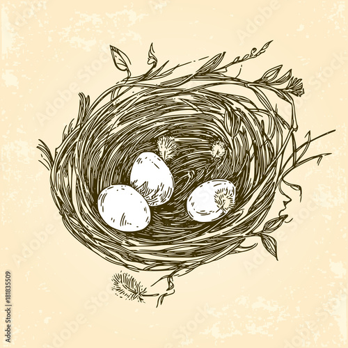 Three eggs in the nest. Vintage style. Vector illustration.