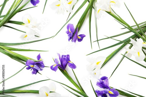 Fototapeta Naklejka Na Ścianę i Meble -  Bouquet of iris flowers on white background