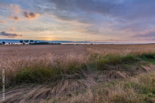 Spectacular sunset over stubble field