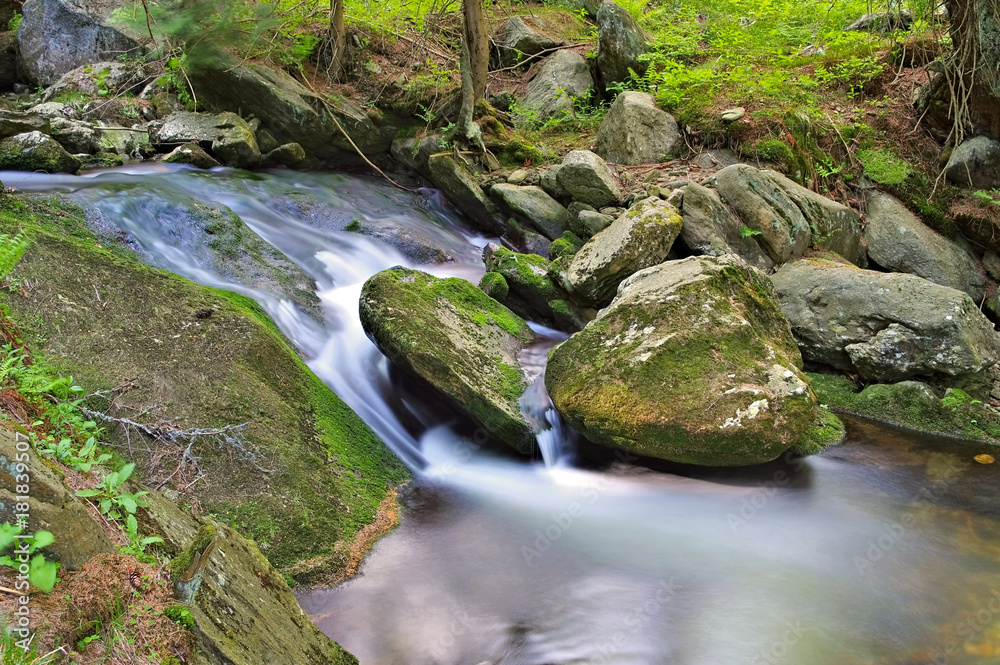 Gruenbach im Riesengebirge - creek in the Giant Mountains Gruenbach im Riesengebirge - creek in the Giant Mountains
