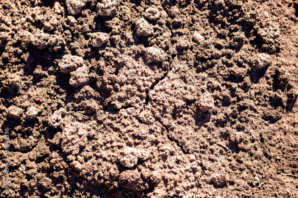 Texture of the dry soil with high clay content. Background of dried black soil in the scorching sun