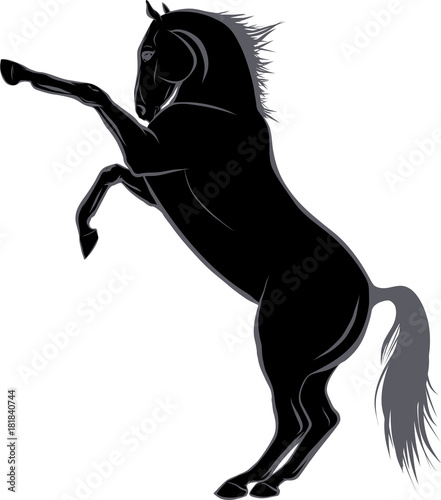 Sketch of the horse standing on hind legs.
