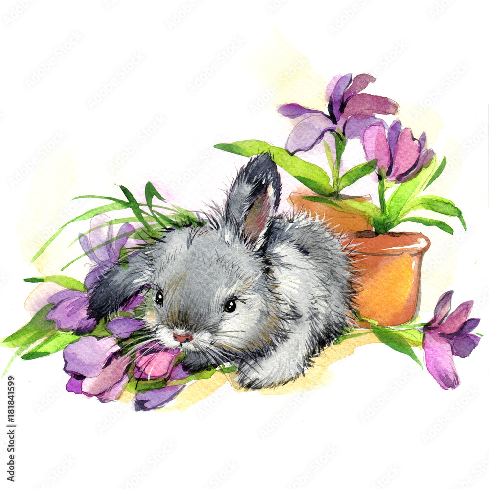 Obraz Akwarela królik i kwiaty