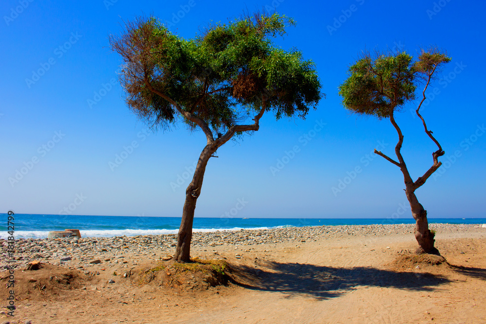 Beach. Summer beach view. Puerto Banus city, Marbella, Andalusia, Spain. Beach. Summer beach view. Puerto Banus city, Marbella, Andalusia, Spain.