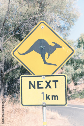 in australia  the sign for wild kangaroo