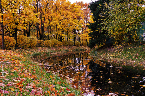 Tableau sur toile autumn landscape city Park