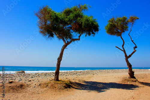 Beach. Summer beach view. Puerto Banus city, Marbella, Andalusia, Spain. © Ekaterina