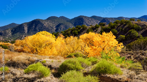 Quadro su tela New Mexico Autumn
