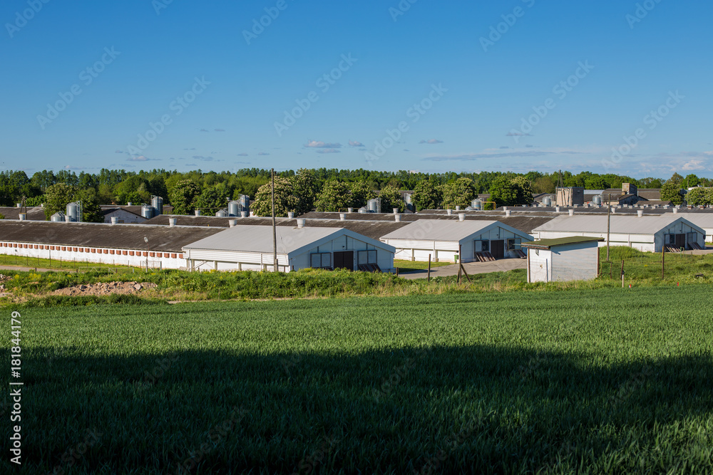 Landscape .with large warehouses. Sunny day with green grass. Latvia. Landscape .with large warehouses. Sunny day with green grass. Latvia.