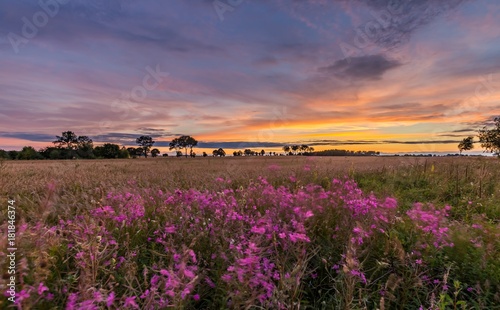 Beautiful spectacular sunset sky over meadows and fields © milosz_g