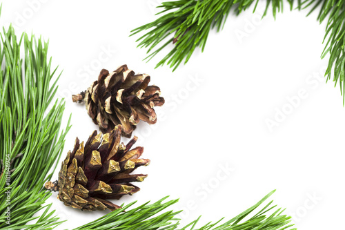 Leaves and pine cones for Christmas on white background