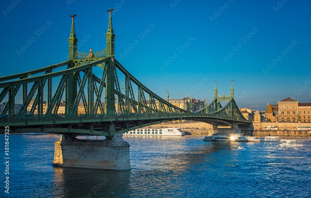 Fototapeta premium View on Liberty Bridge in Budapest, Hungary