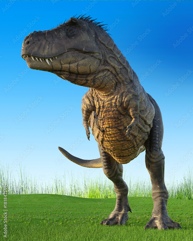 Fototapeta premium t-rex on the nature