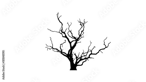 Dead Tree Silhouette